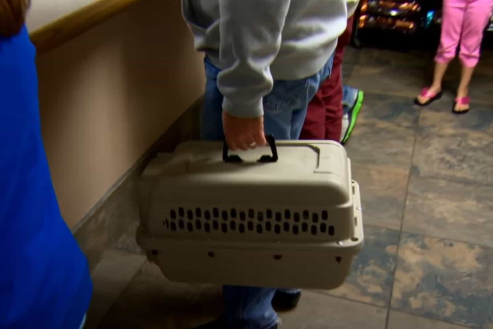 a man carries a kitten in a box